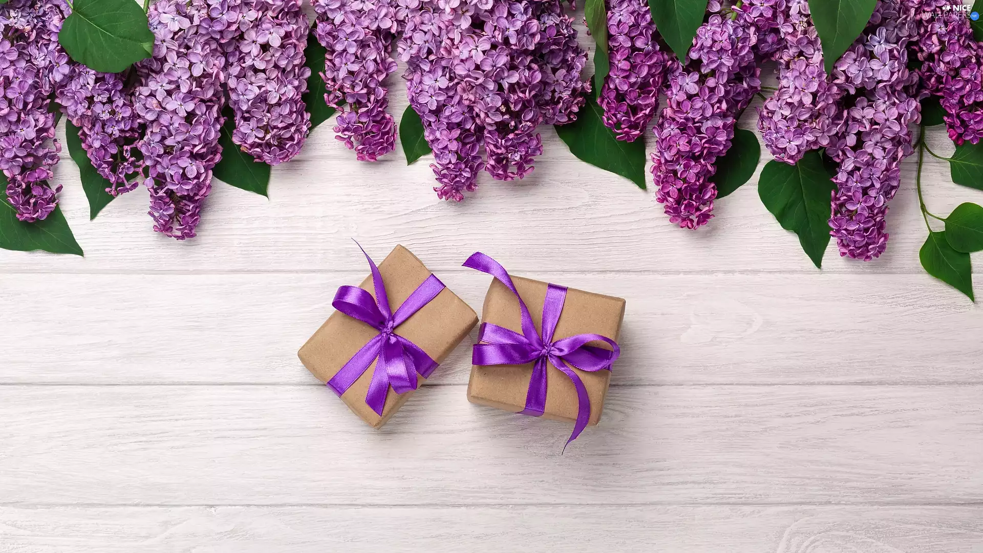 gifts, boarding, without, Two cars, Flowers