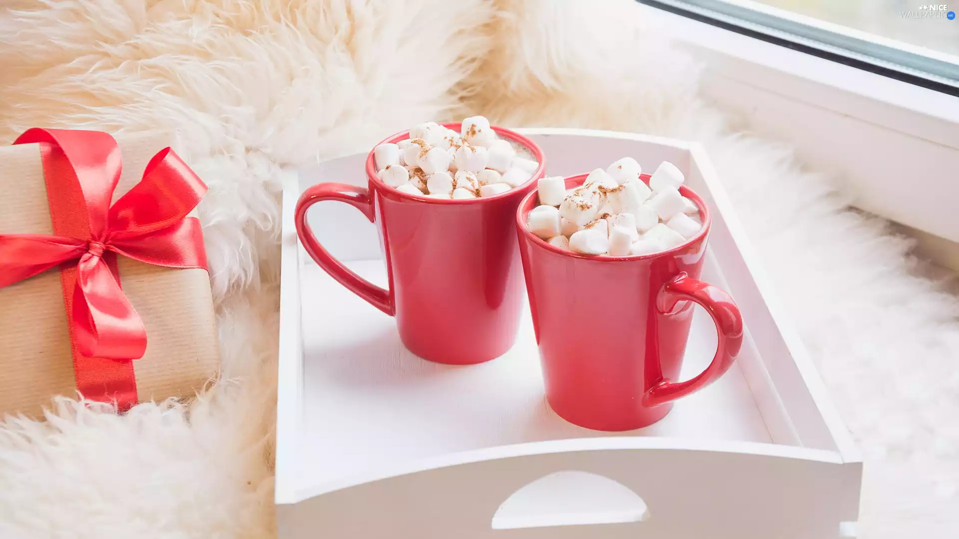 Two cars, Red, Window, cups, Present, Foams, cocoa, Tray