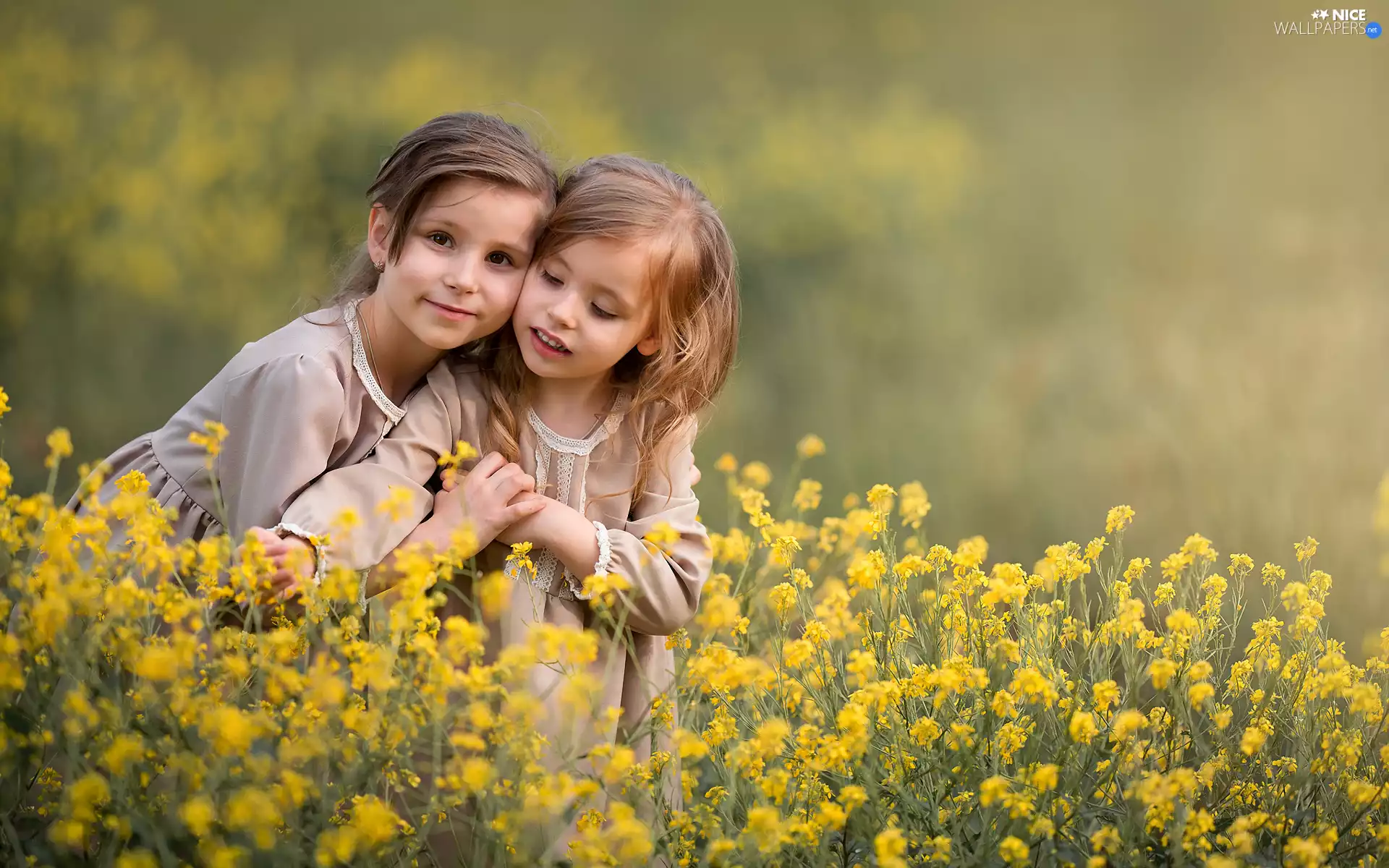 Kids, girls, rape, Two