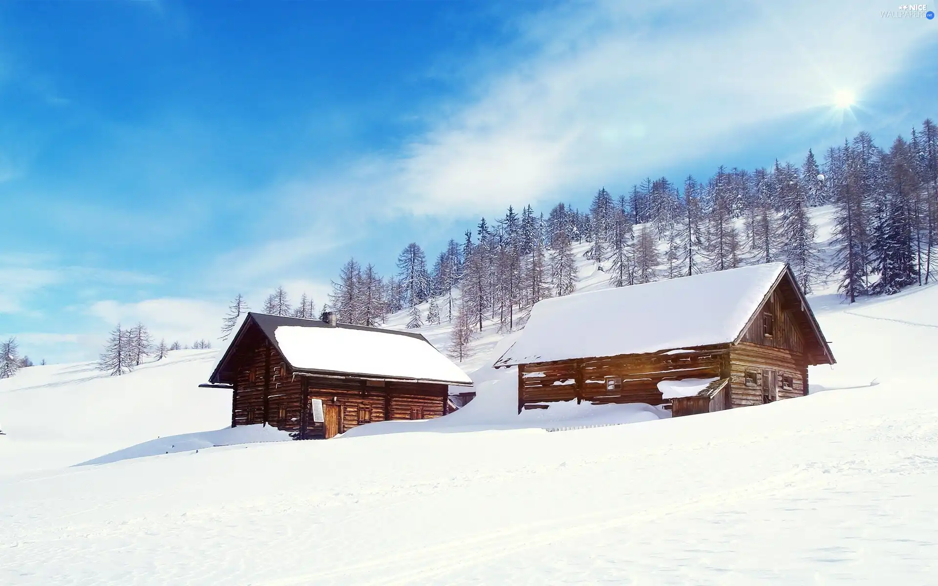 viewes, snow, wood, trees, winter, Two cars, Houses