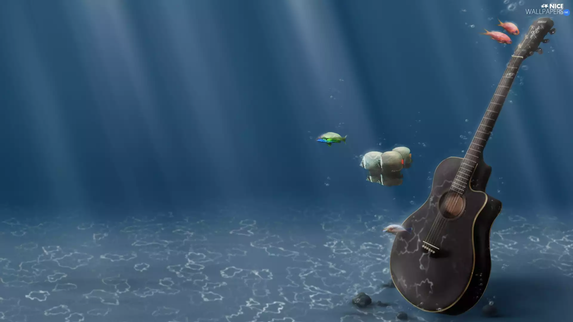 Guitar, water, fishes, under