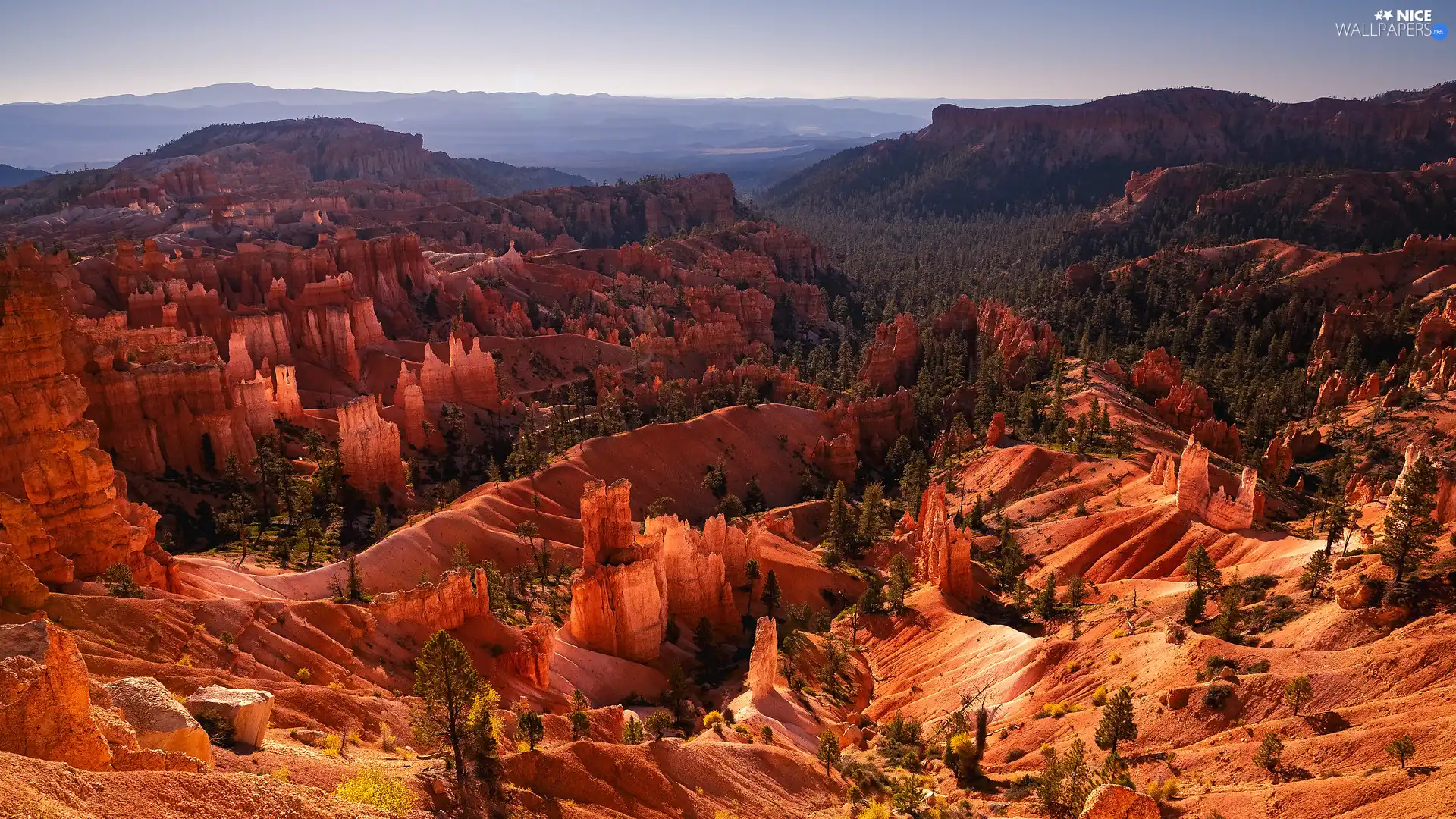 canyon, trees, The United States, viewes, Utah, rocks, Mountains, Bryce Canyon National Park