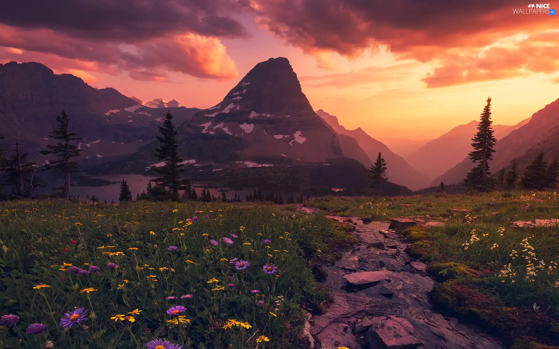viewes, Mountains, Flowers, Meadow, clouds, The United States, Montana, trees, lake, Glacier National Park, Great Sunsets
