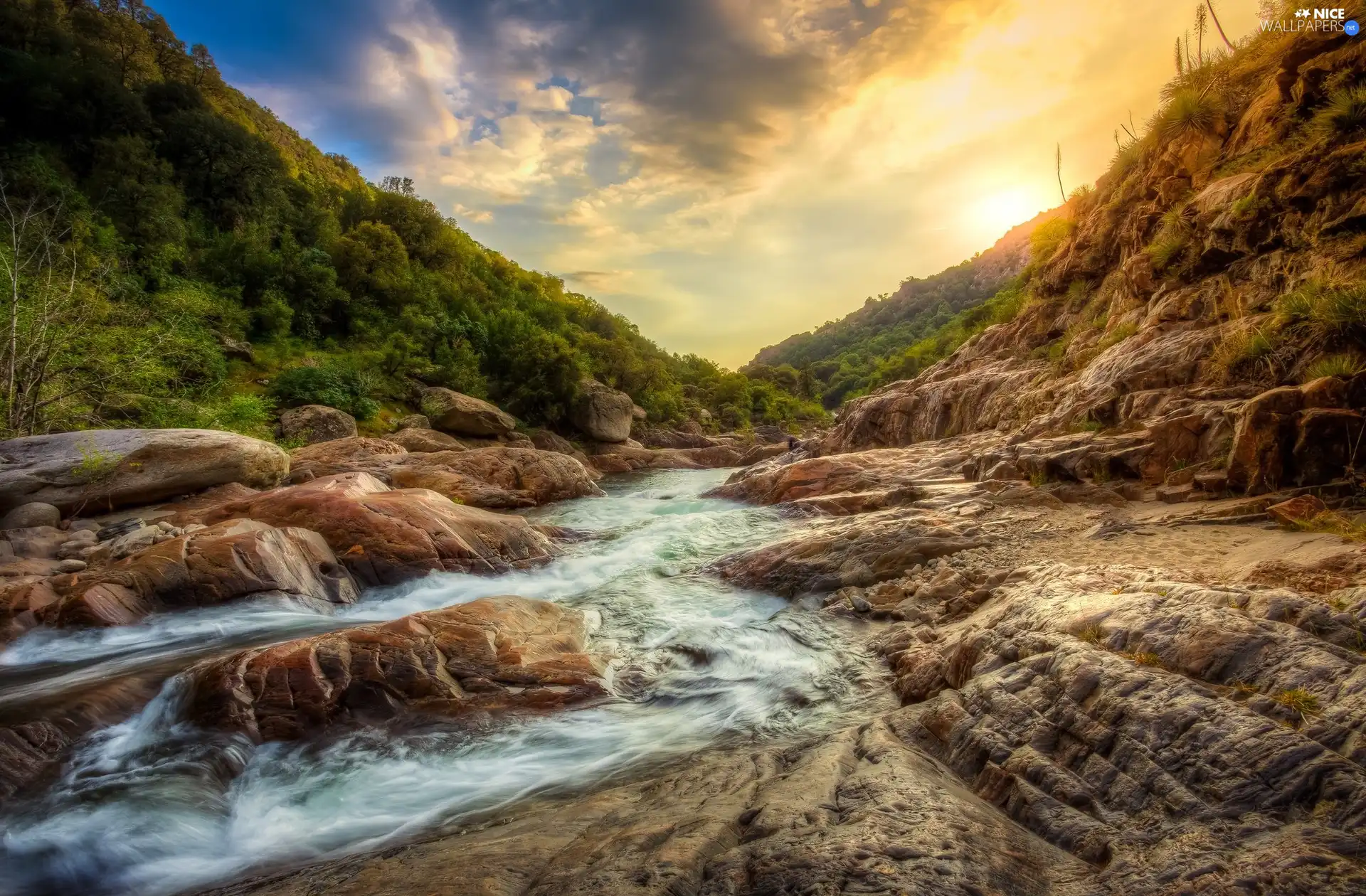 Kaweah River, California, trees, Sequoia National Park, The United States, rocks, viewes