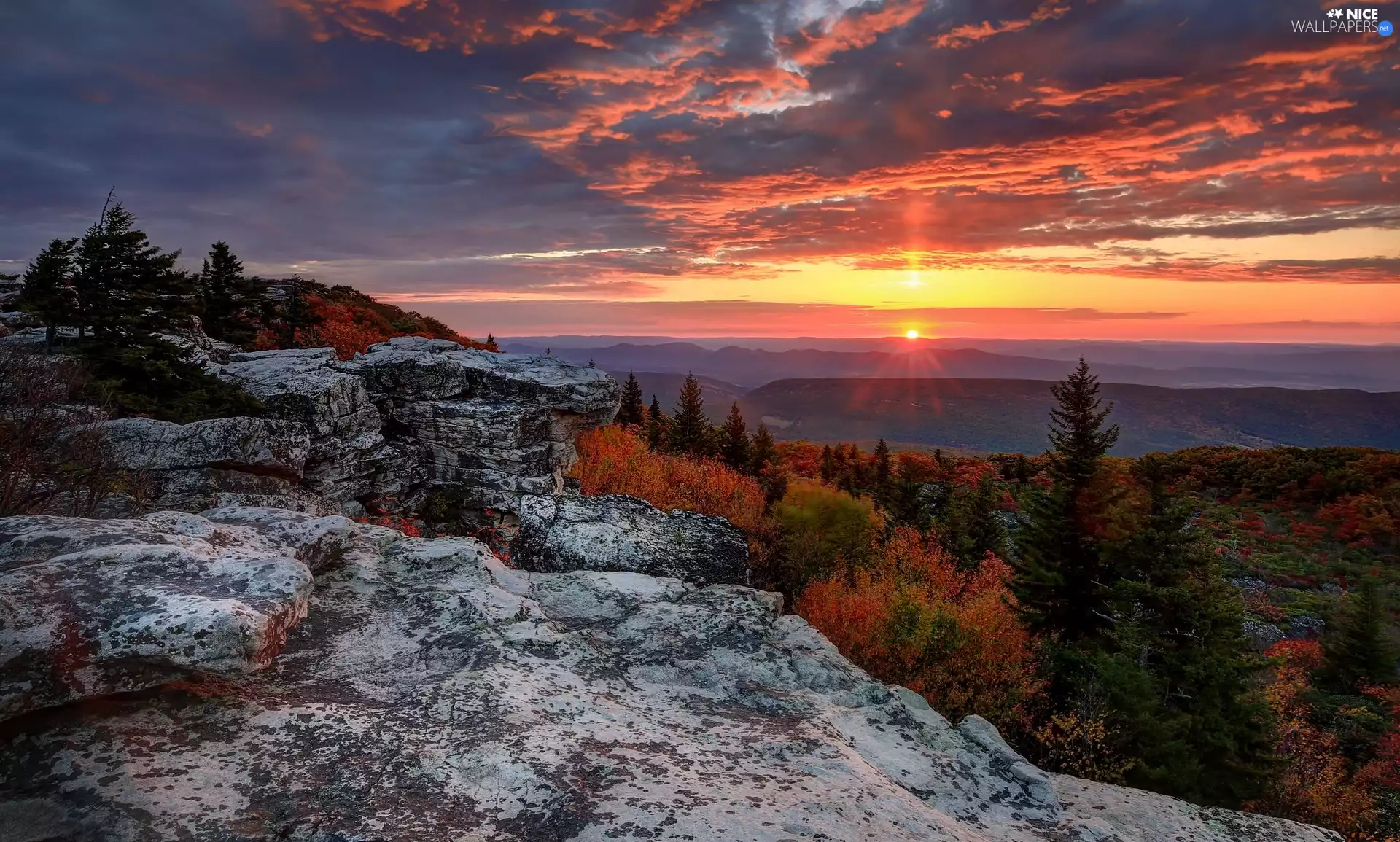 State of West Virginia, The United States, Dolly Sods Wilderness, Bear Rocks, autumn, clouds, The Hills, forest, Sunrise