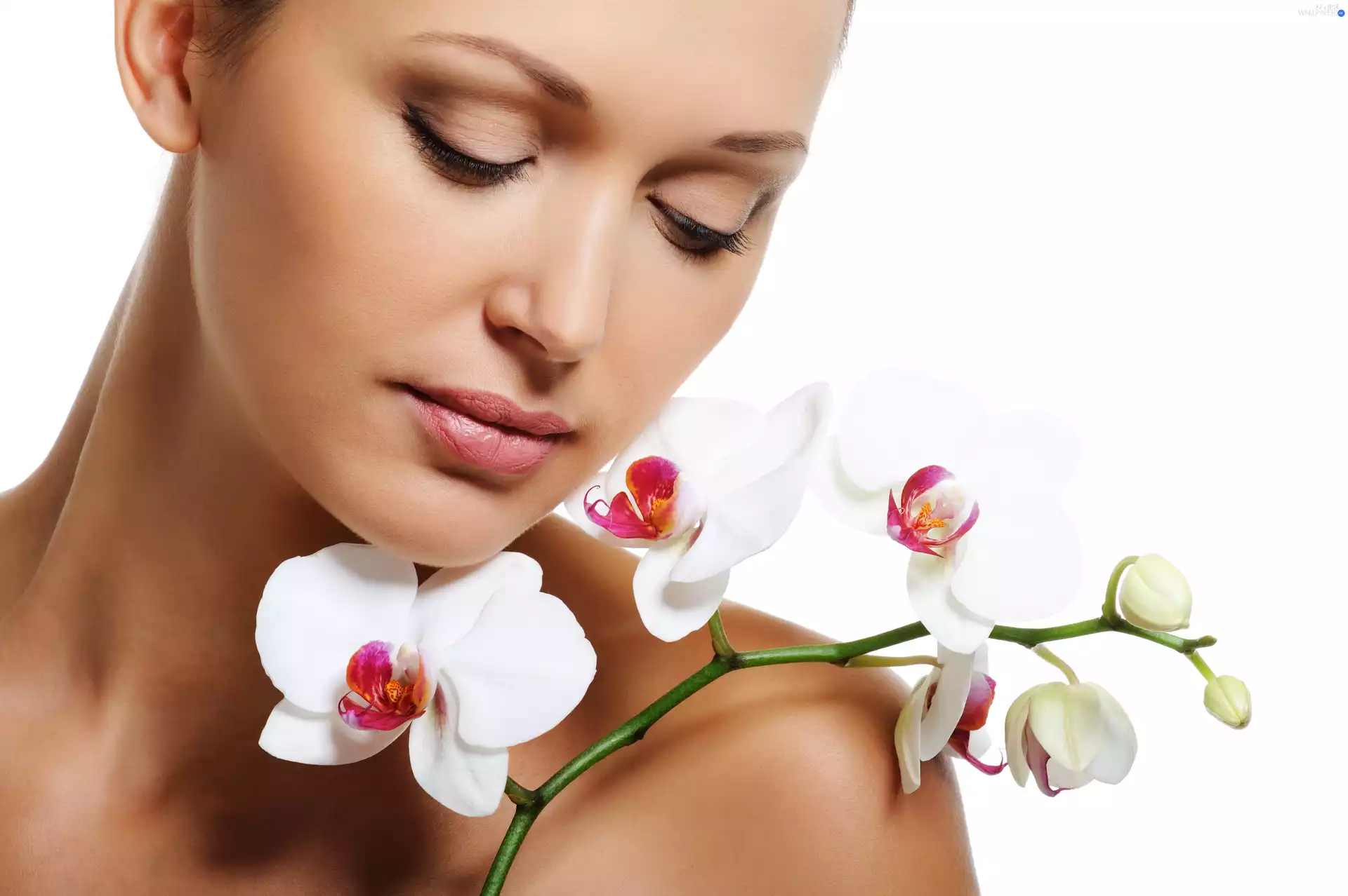 orchids, Women, make-up