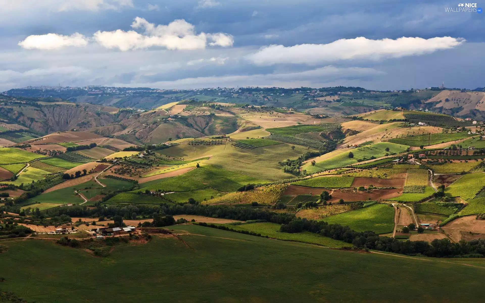 Upland, field, cultivated