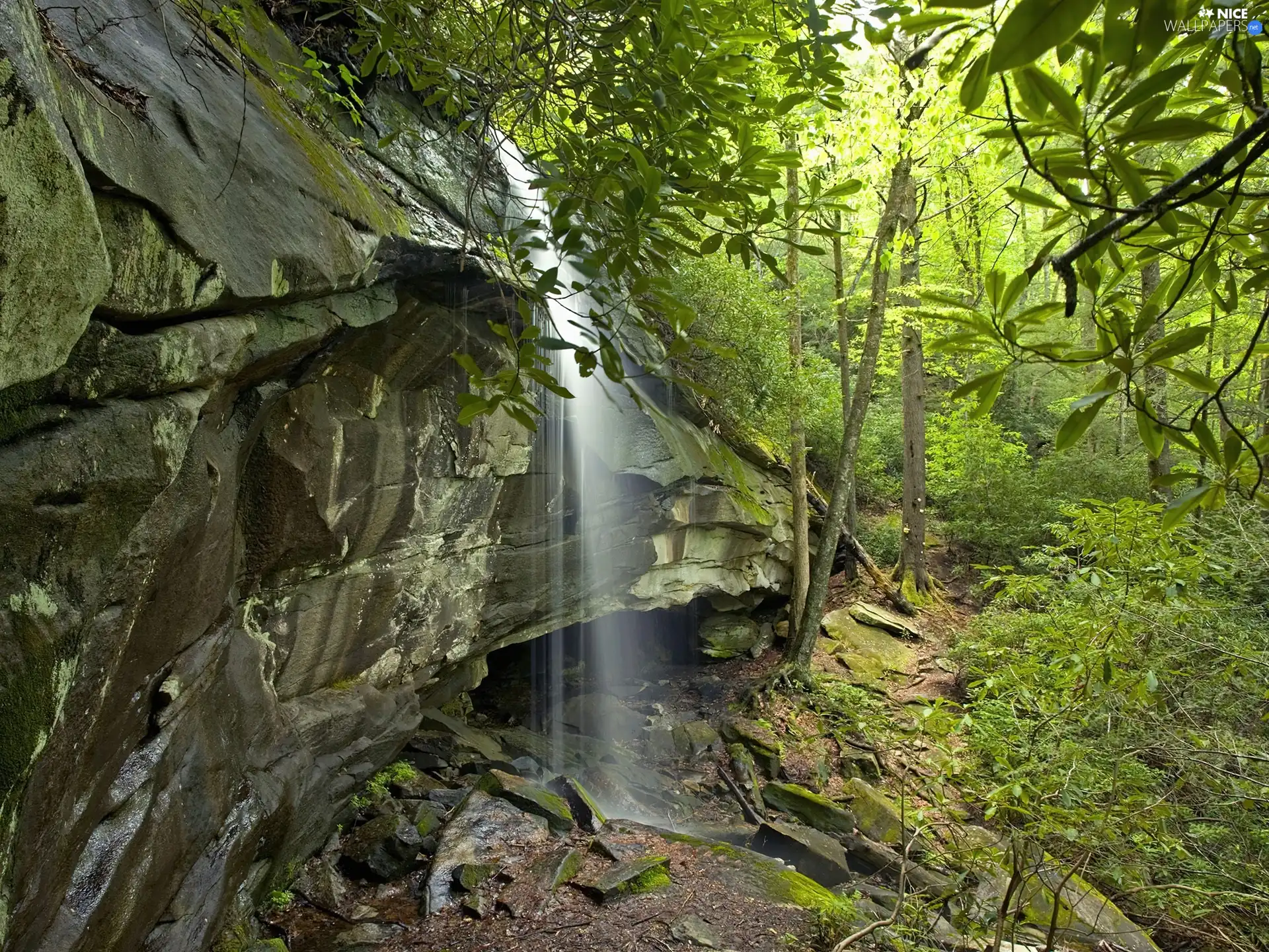 waterfall, North Carolina, USA, Rocks