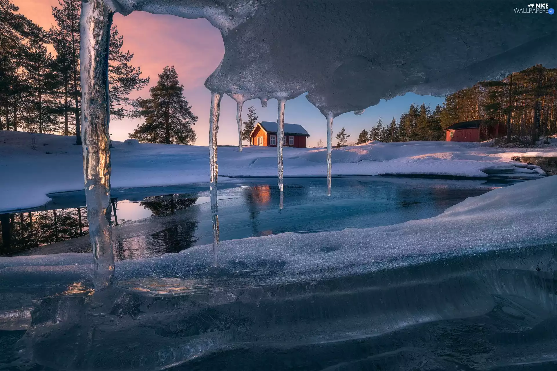 Vaeleren Lake, Ringerike, trees, viewes, winter, Norway, Icecream, icicle, house