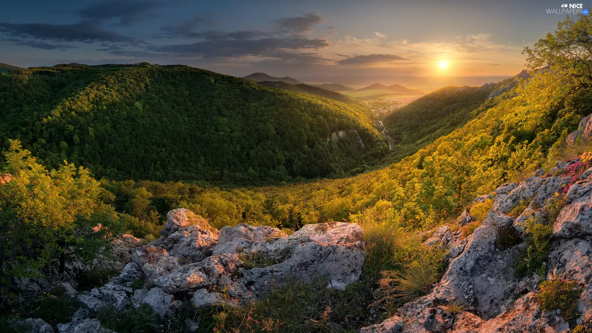 rocks, Mountains, VEGETATION, Valley, woods, Great Sunsets