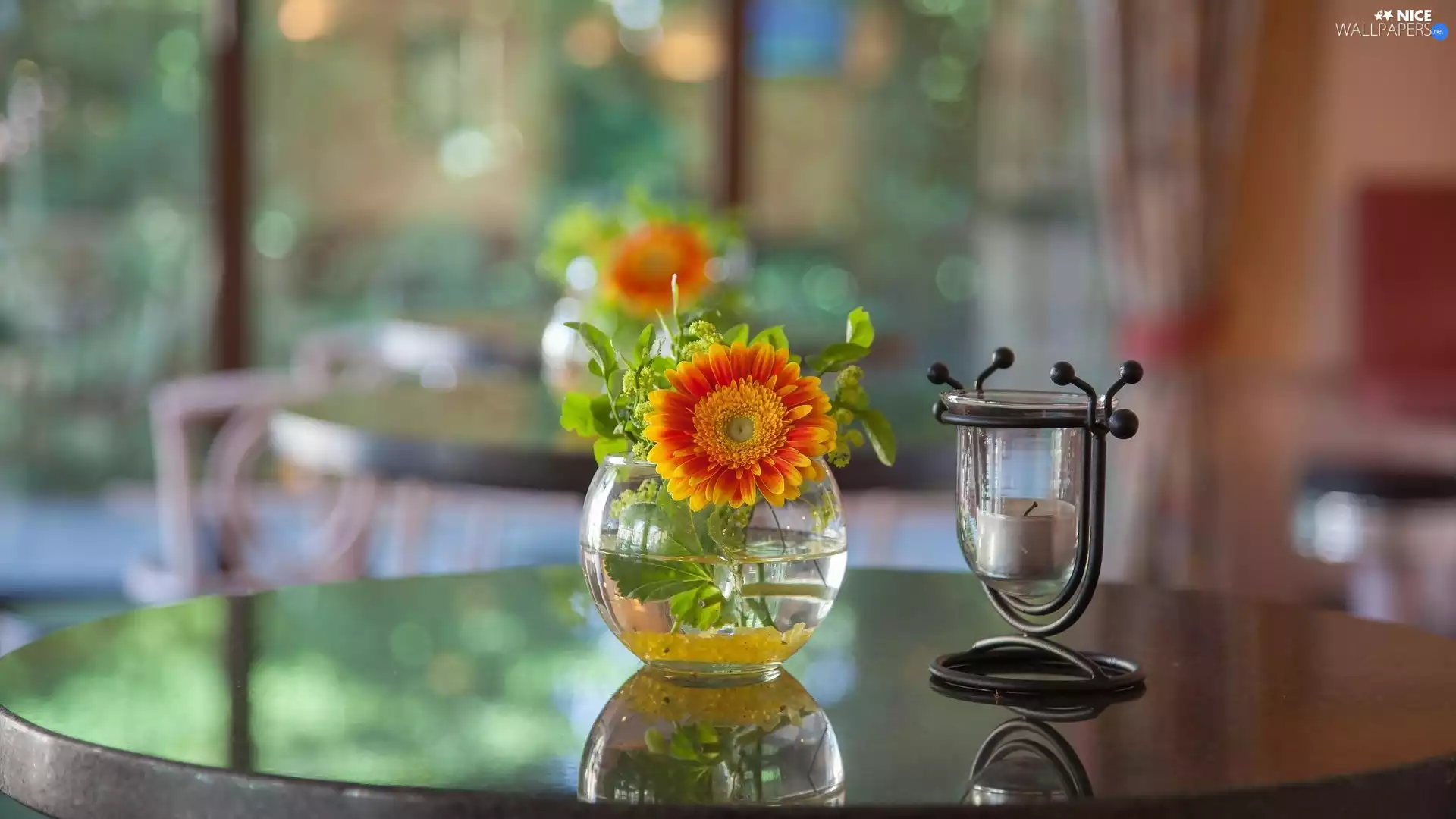 Candle, blurry background, vase, Gerbera, decoration