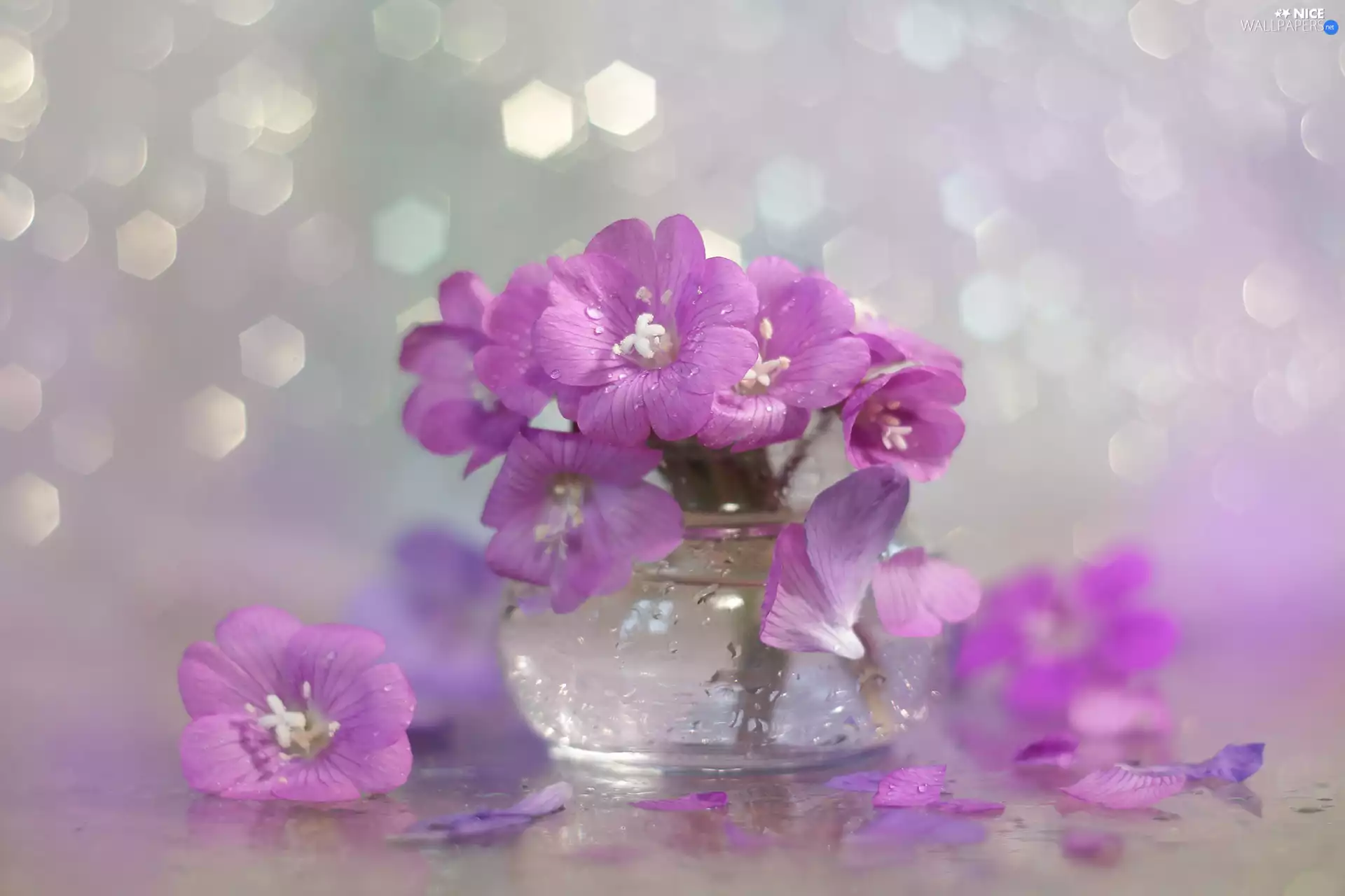 vase, purple, Flowers