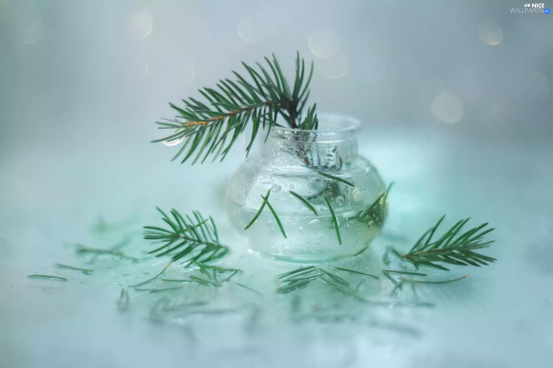 vase, herringbone, glass