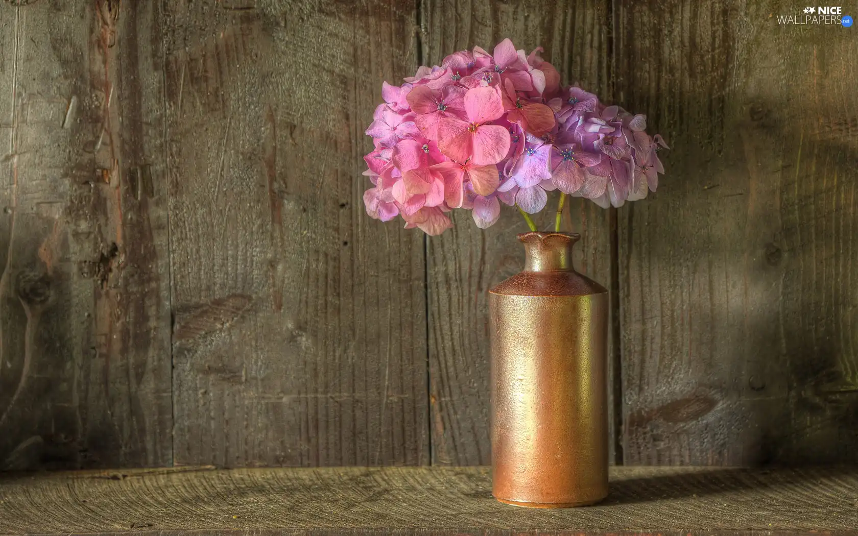 hydrangea, vase