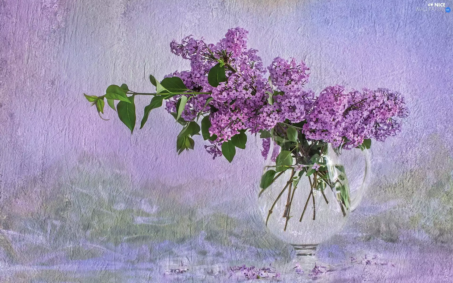 glass, Vase, lilac, without, Flowers