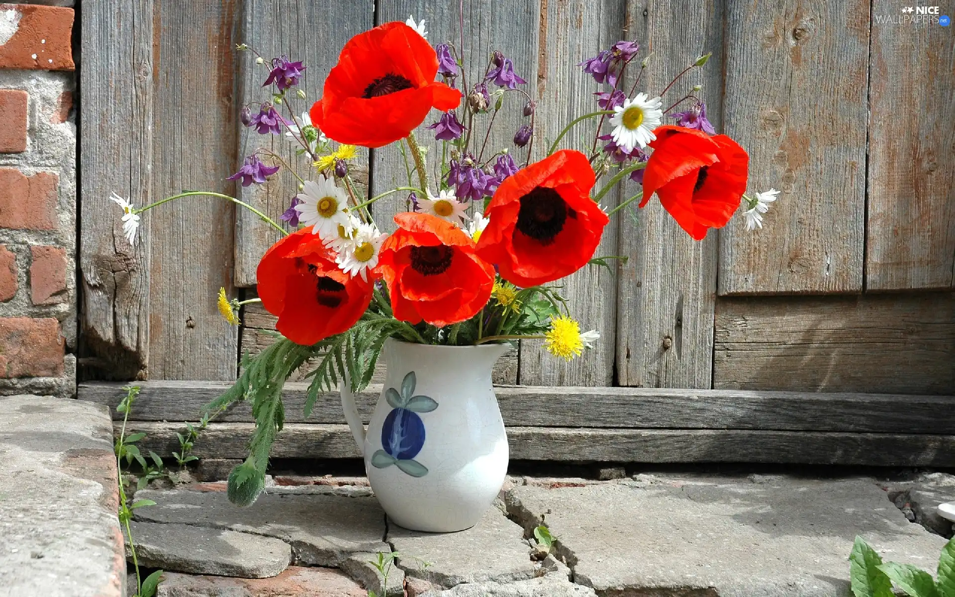 Vase, bouquet, papavers