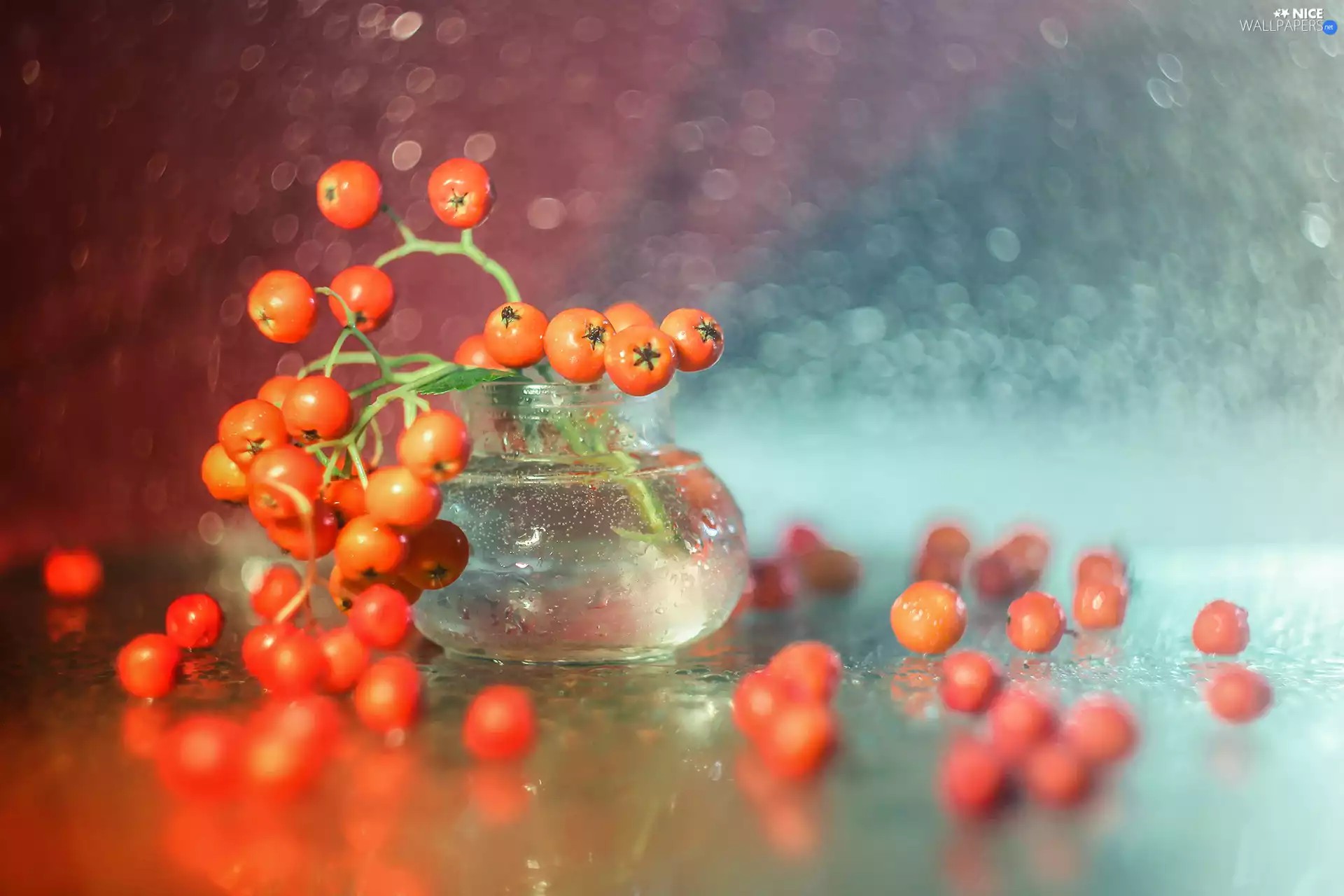 Plant, vase, Red, Fruits, decoration