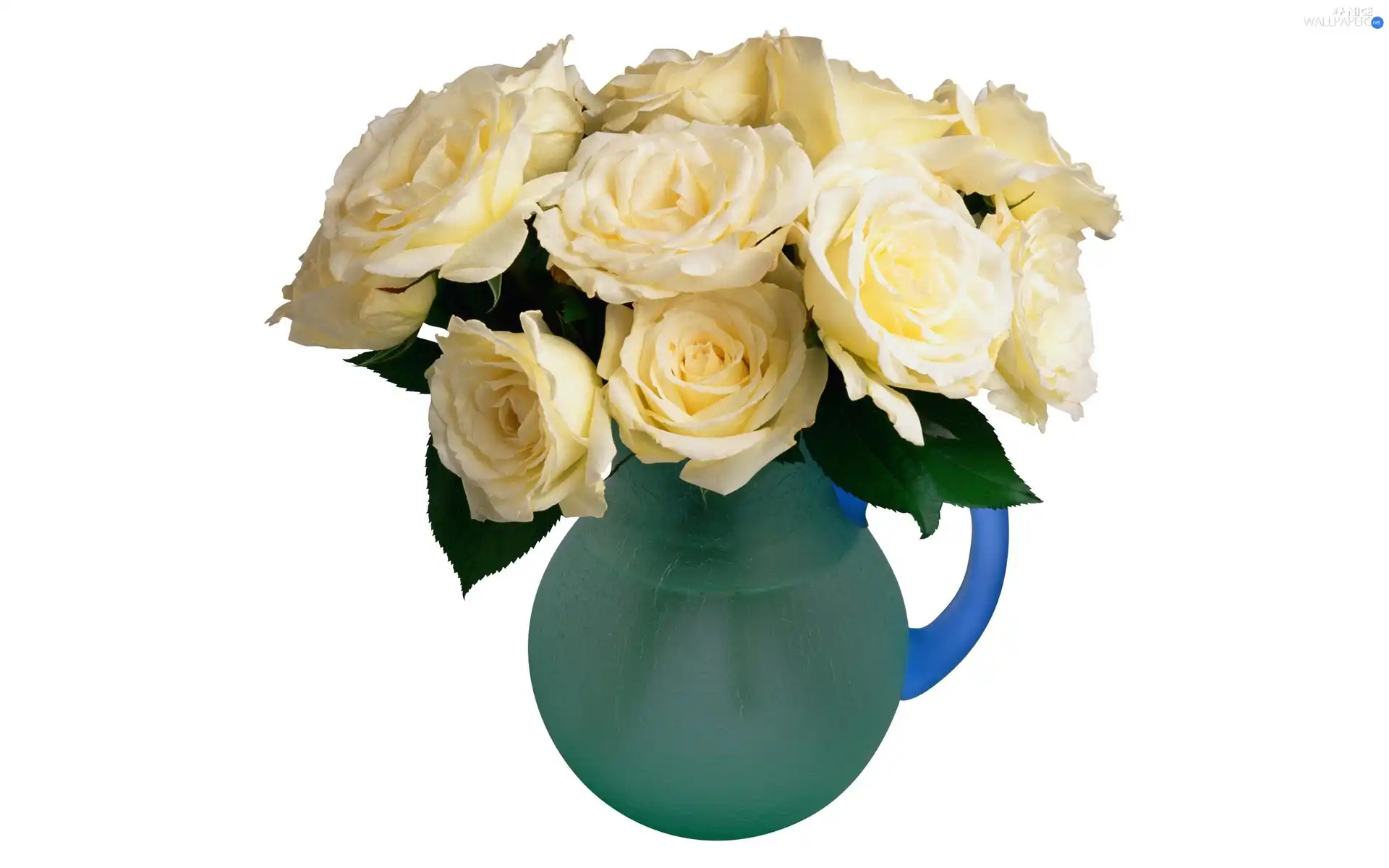 vase, cream, roses