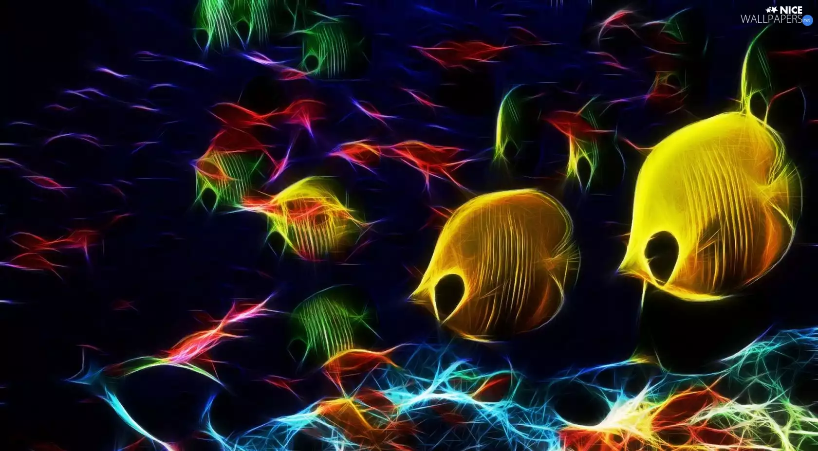 Vectorial, fishes, graphics