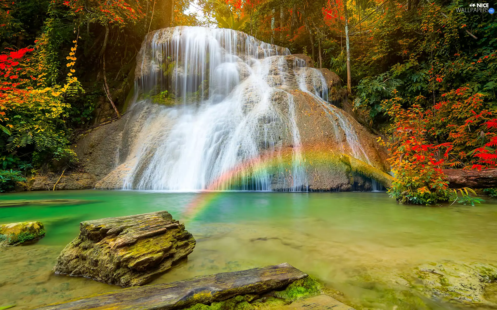 Stones, waterfall, Bush, VEGETATION, Great Rainbows, rocks