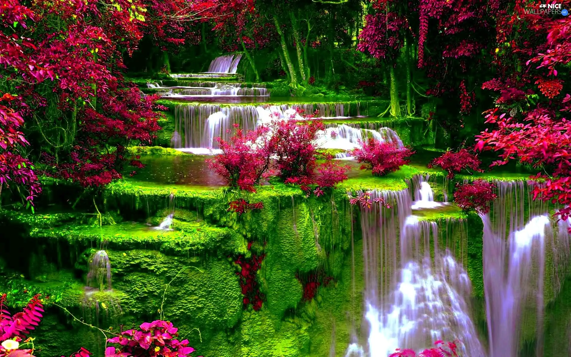VEGETATION, waterfall, Flowers
