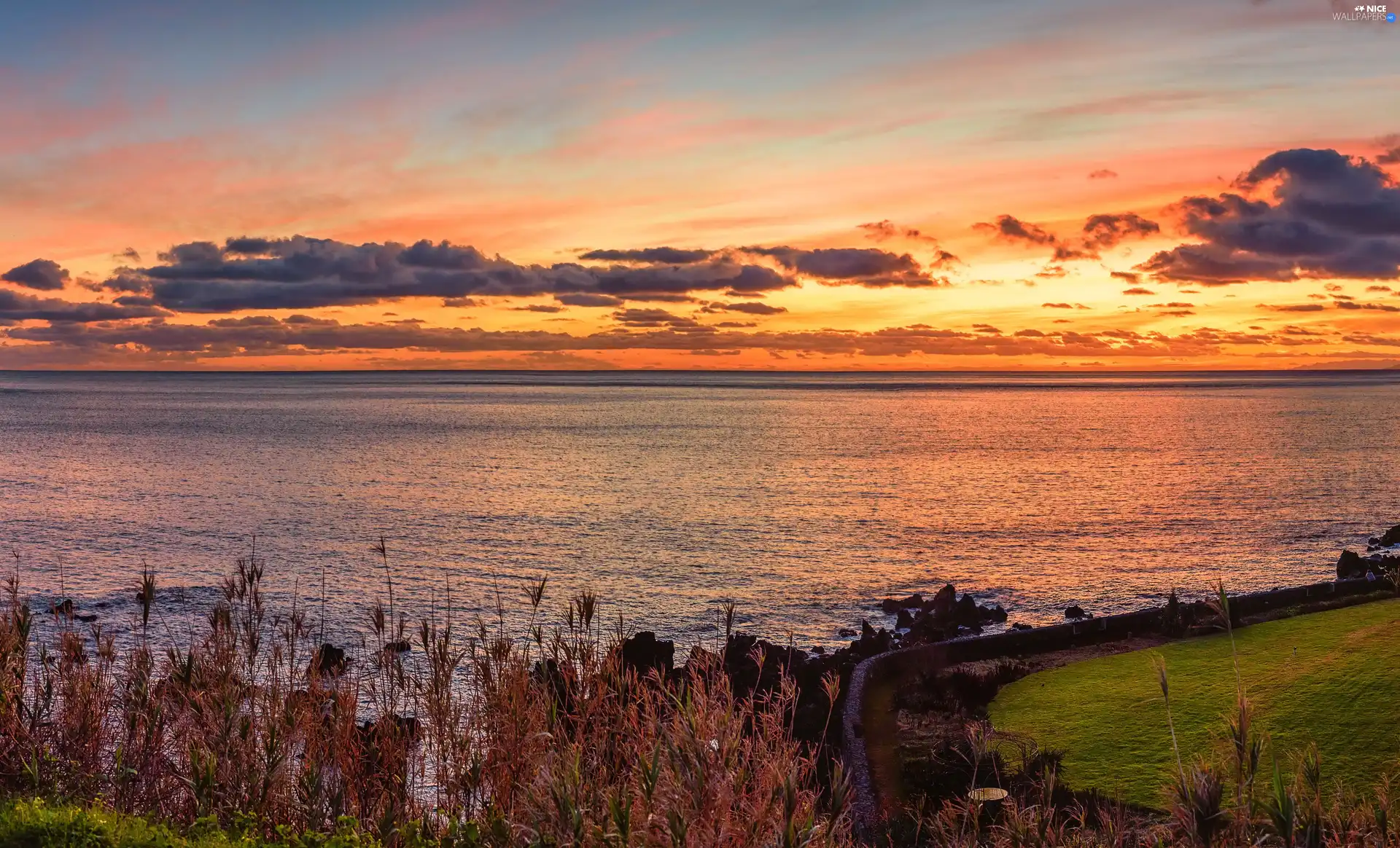 lake, clouds, VEGETATION, Great Sunsets