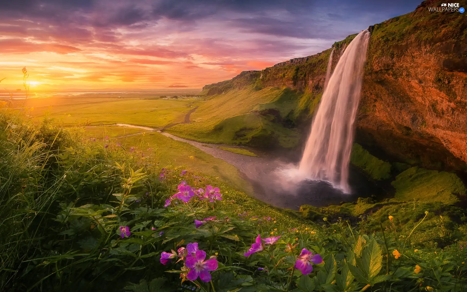 VEGETATION, Seljalandsfoss Waterfall, clouds, Flowers, rocks, Great Sunsets, iceland