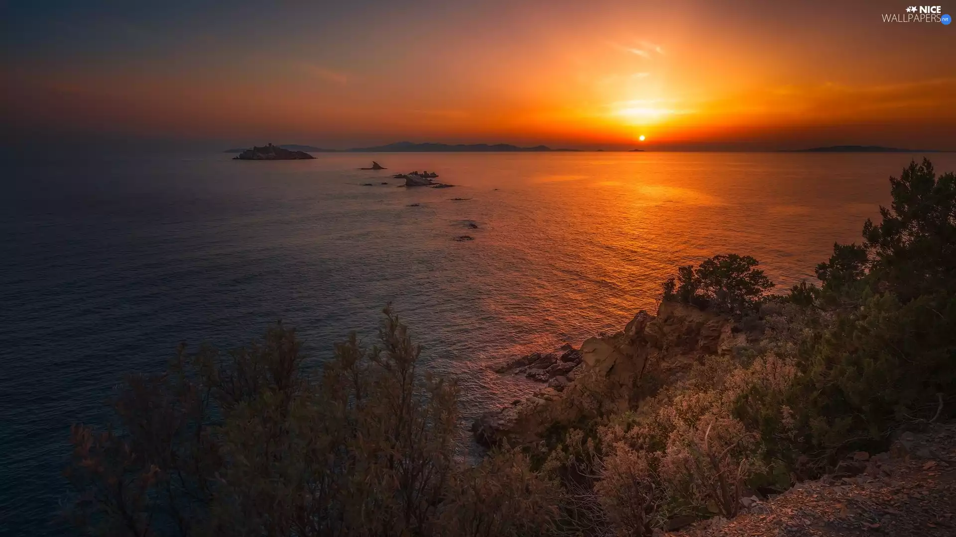 sea, VEGETATION, Great Sunsets, rocks