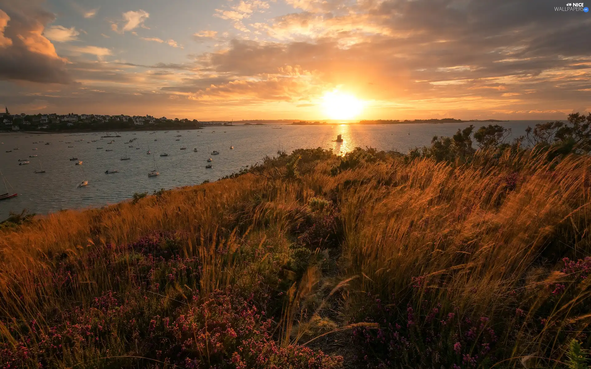 sea, vessels, VEGETATION, Great Sunsets