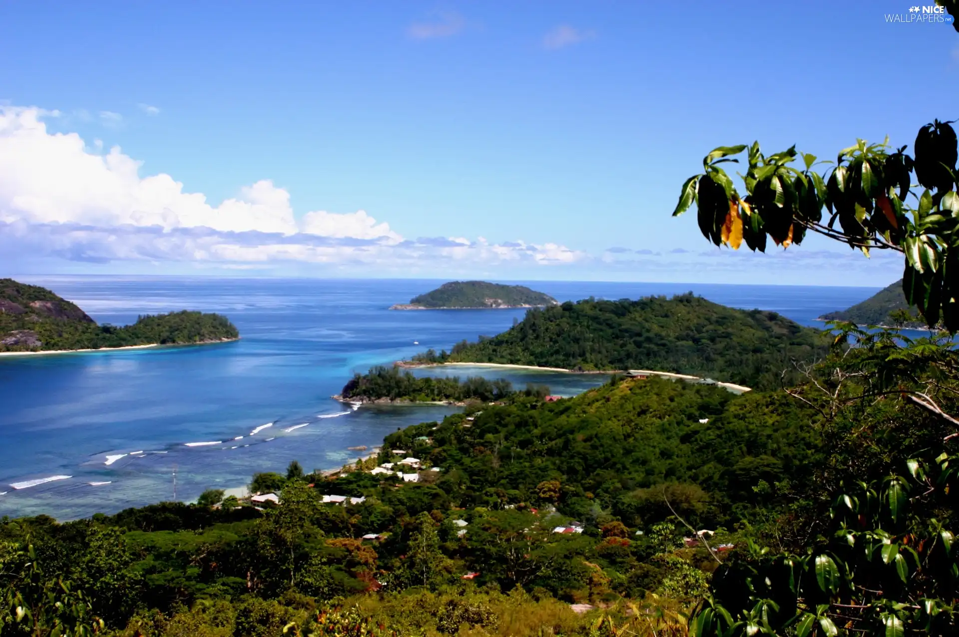 VEGETATION, sea, Islets