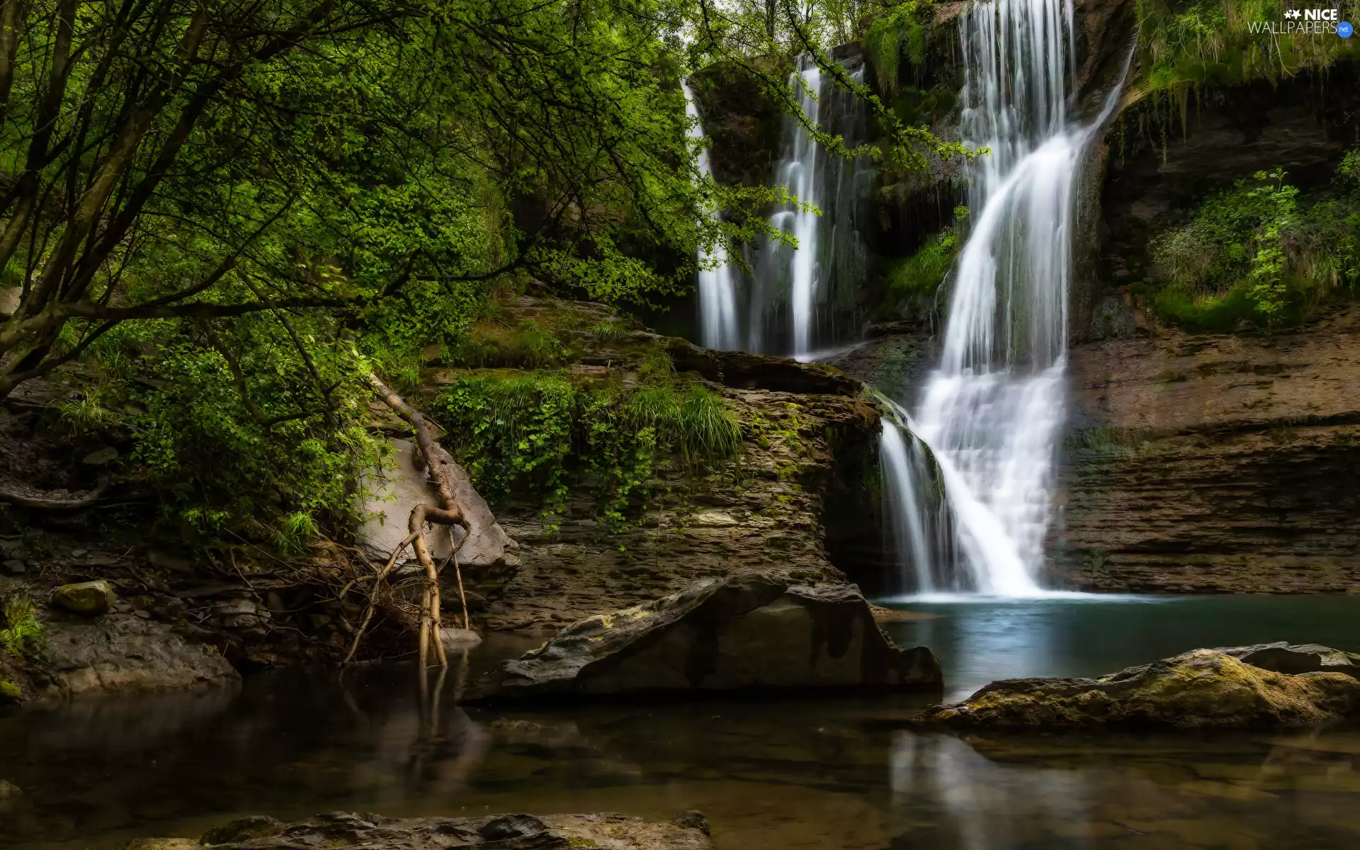 rocks, waterfall, viewes, VEGETATION, trees, mossy