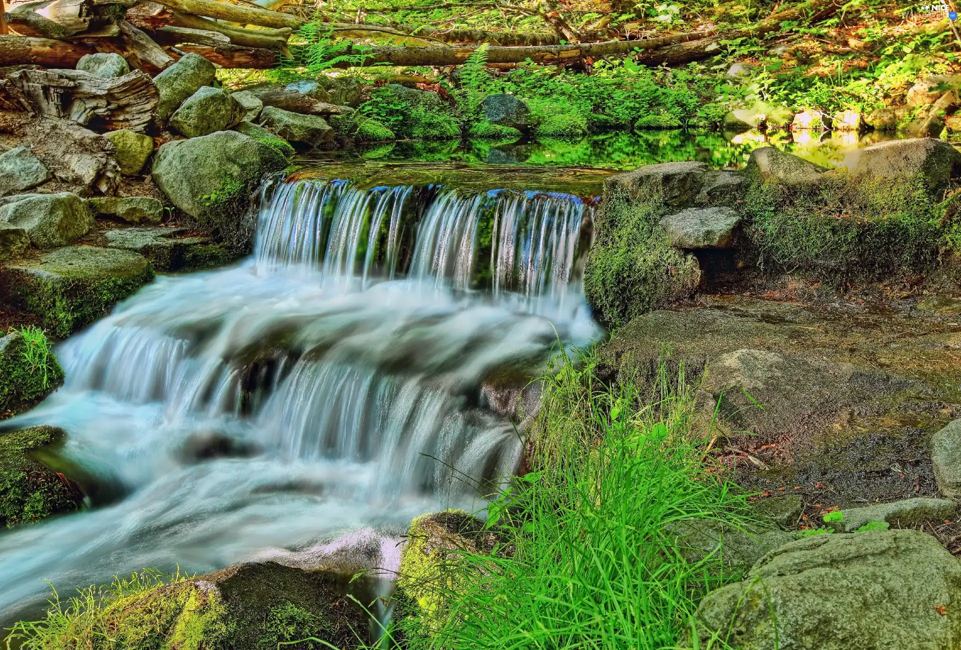 VEGETATION, waterfall, rocks