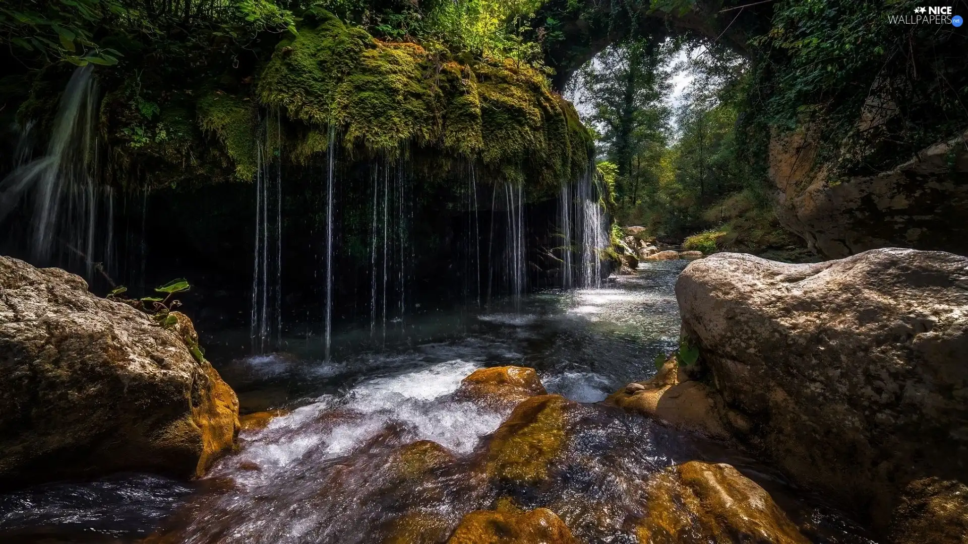 rocks, trees, waterfall, viewes, Moss, Stones, River, VEGETATION