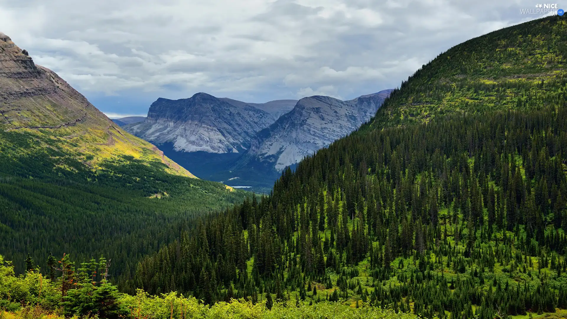 Sky, VEGETATION, woods, Valley, Mountains