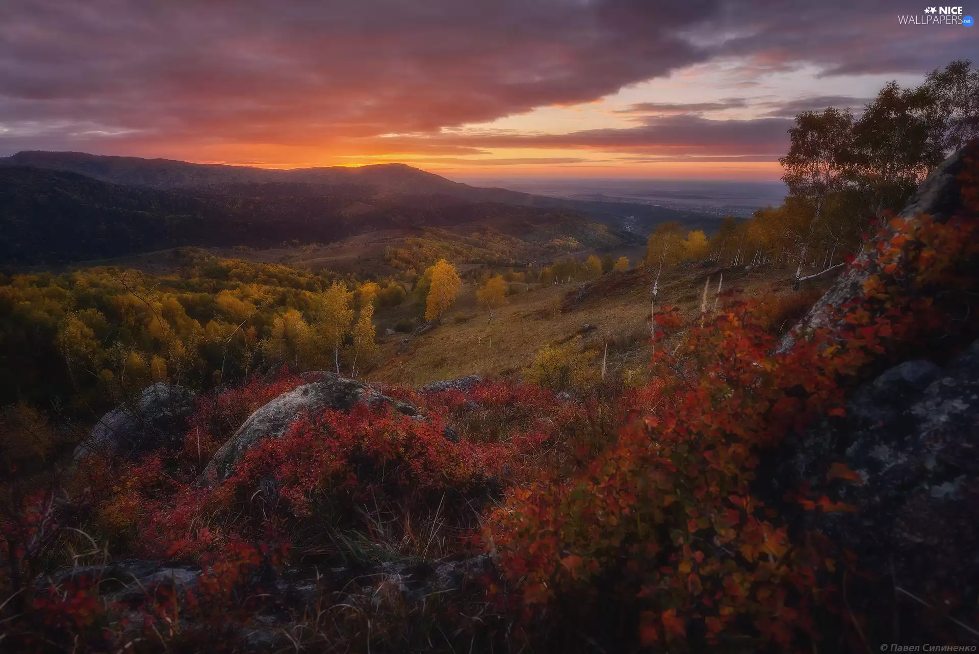 Great Sunsets, Altai Mountains, autumn, birch, Altai Republic, Russia, viewes, rocks, trees