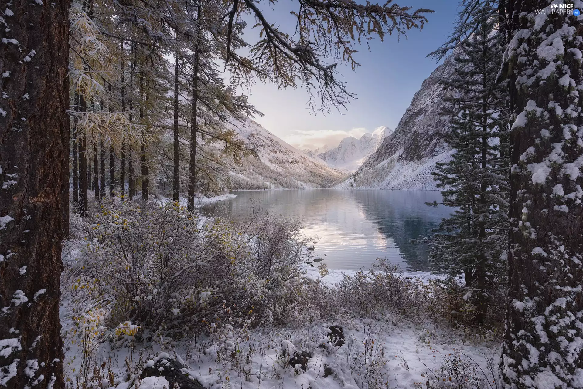 winter, Altai Mountains, snow, Szawlinskie Lake, viewes, Altai Republic, Russia, trees