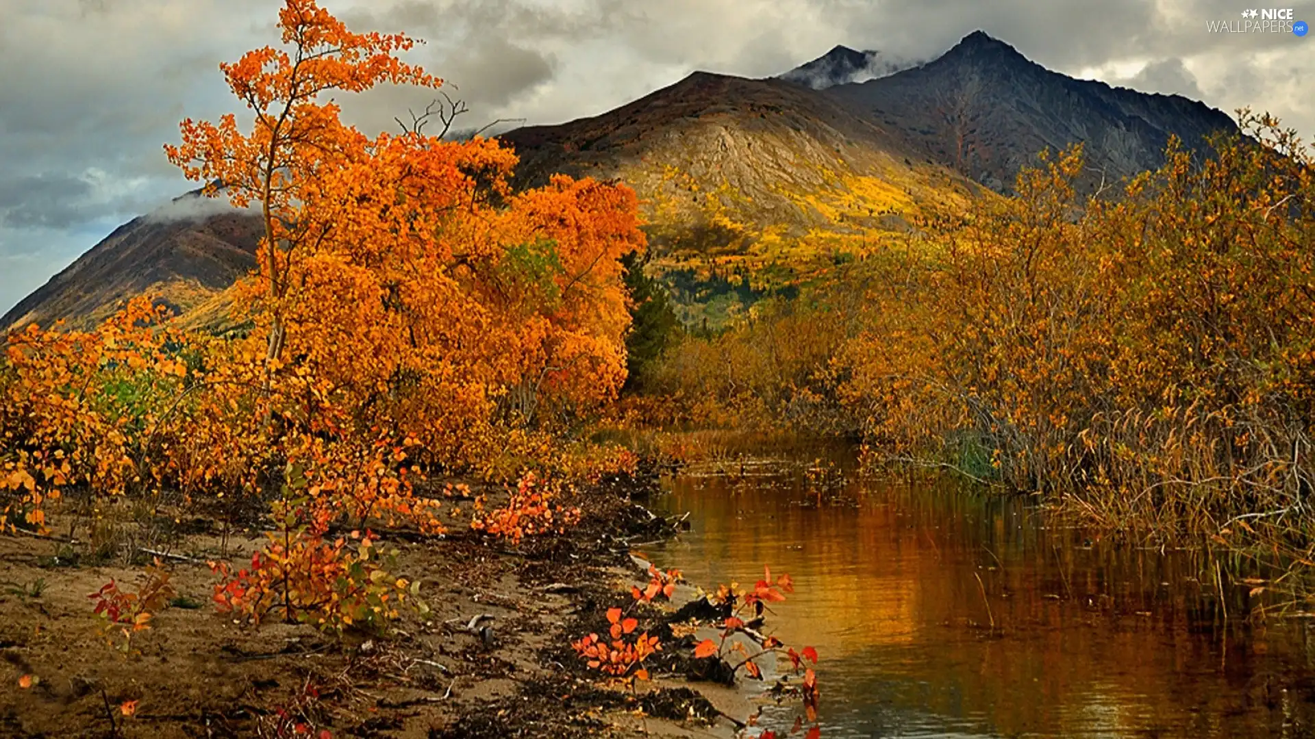viewes, autumn, brook, trees, Mountains