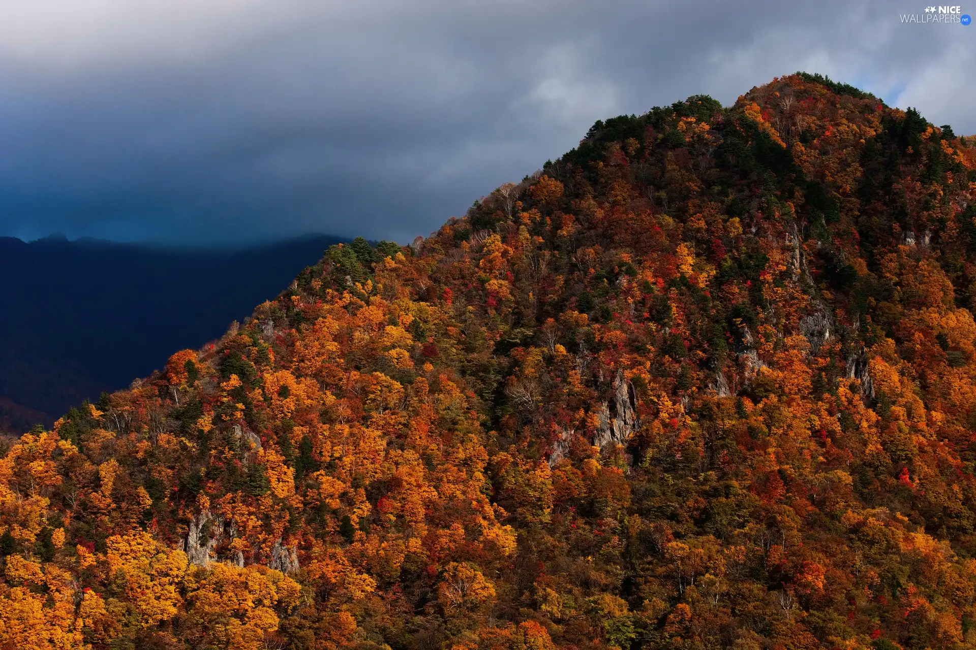viewes, autumn, color, trees, mountains