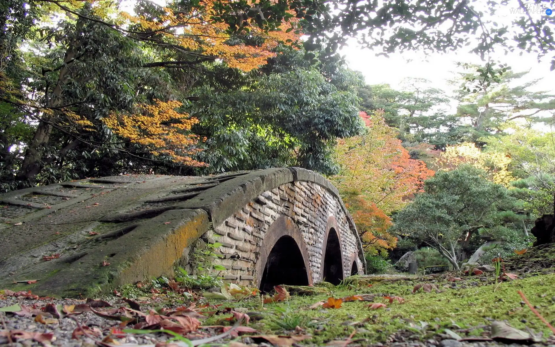 viewes, autumn, bridges, trees, Park