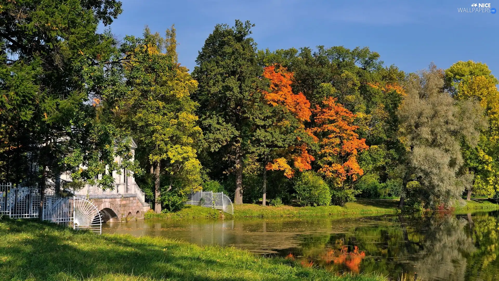 viewes, autumn, lake, trees, Park