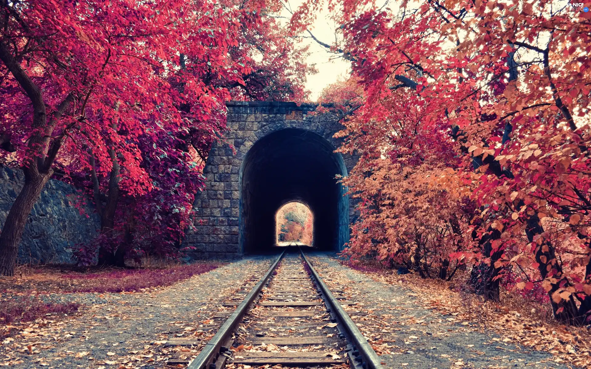 trees, ##, Leaf, railway, tunnel, viewes, autumn