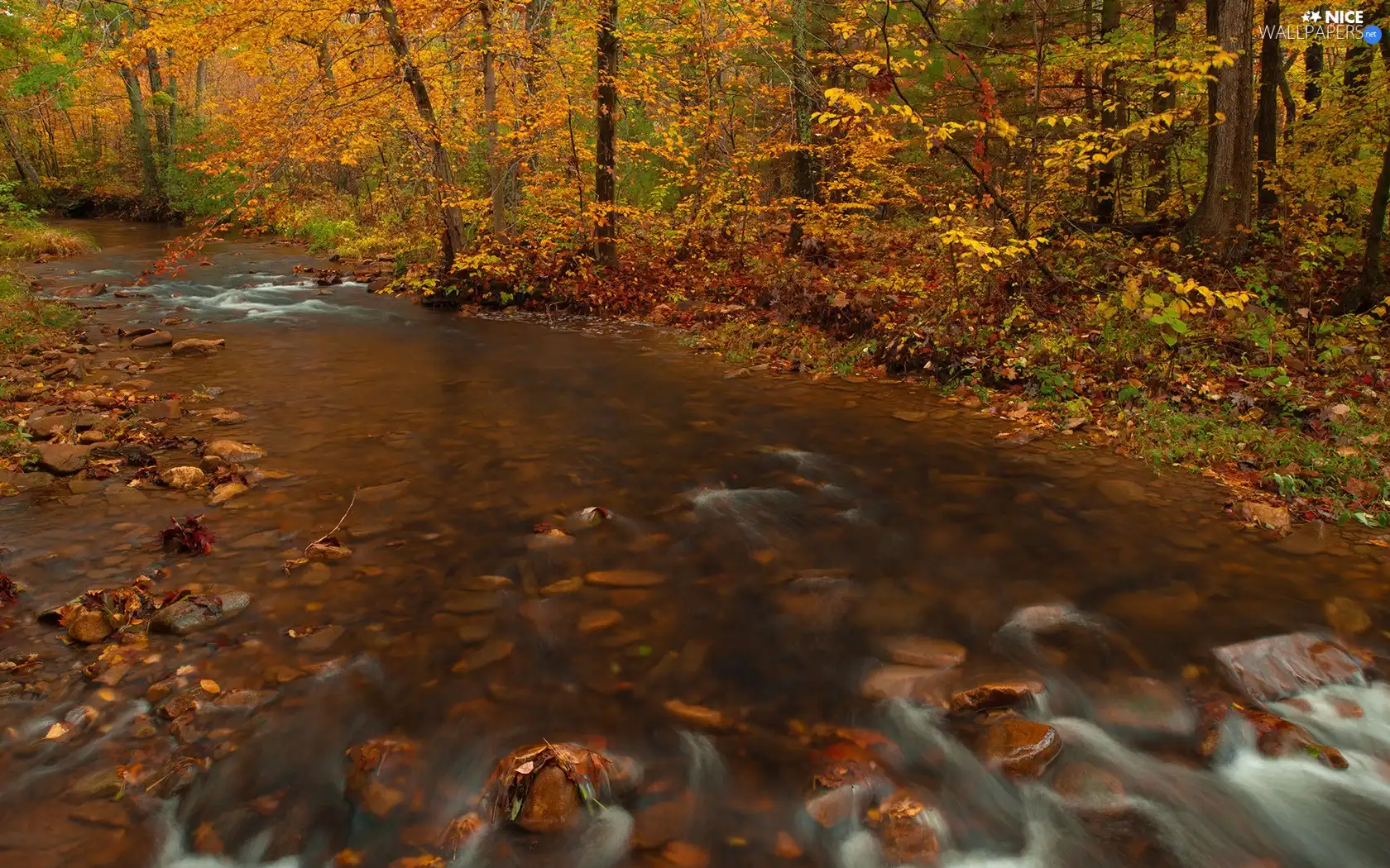 viewes, autumn, Stones, trees, River