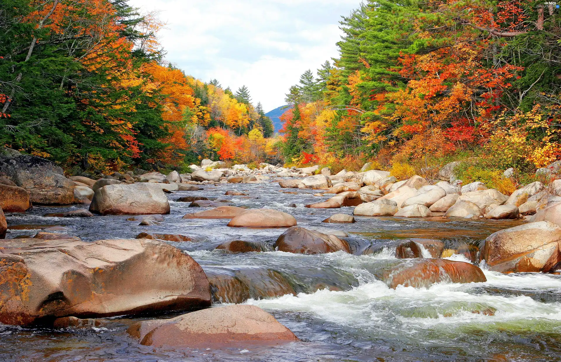 viewes, autumn, Stones, trees, River