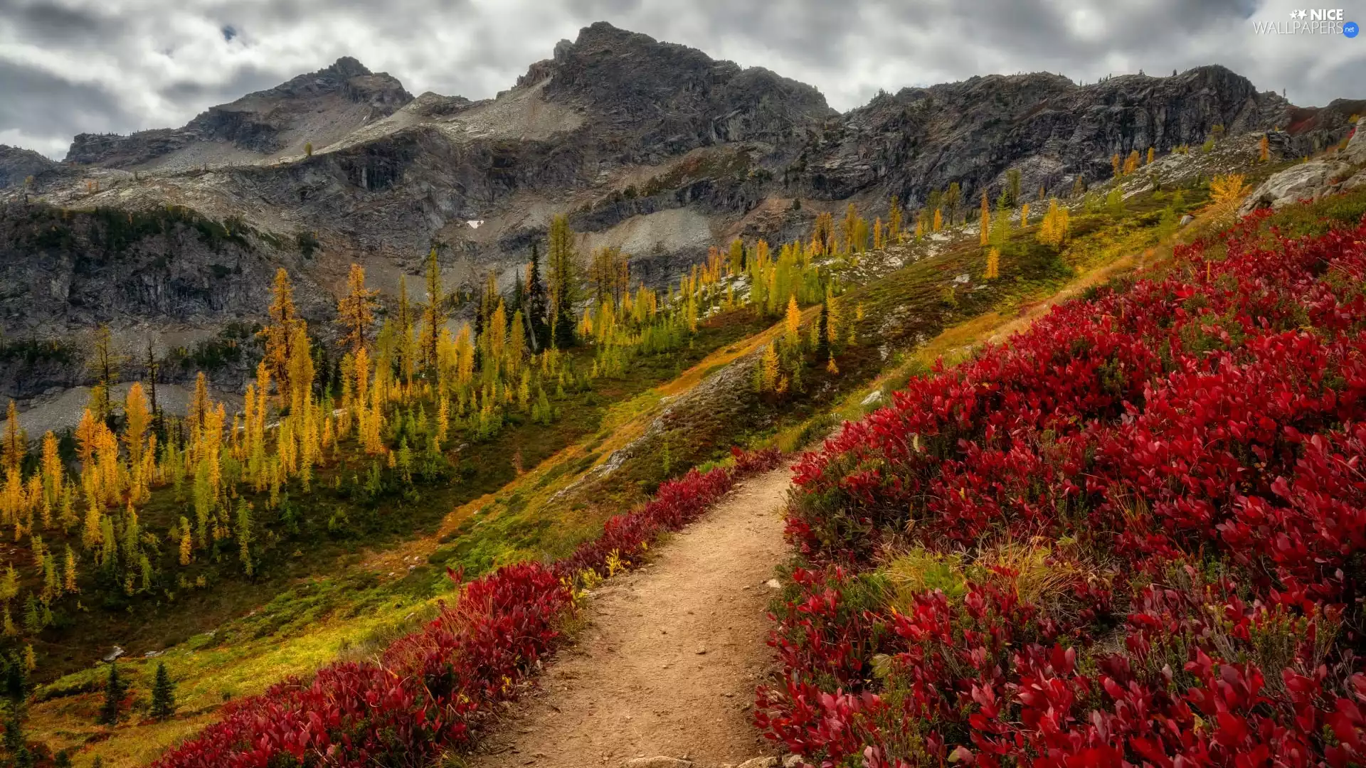 VEGETATION, trees, autumn, viewes, Mountains, Path, clouds