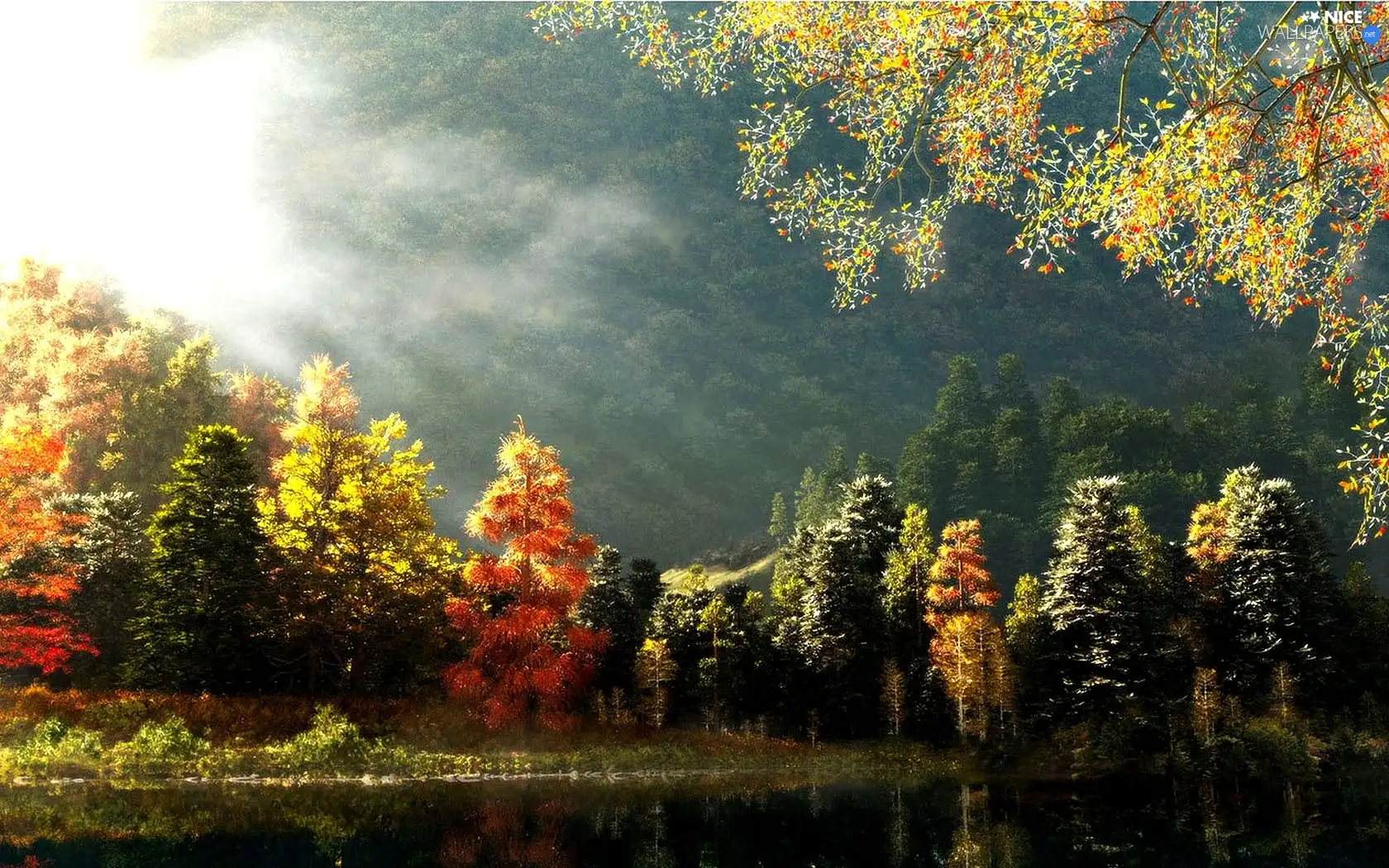 autumn, trees, viewes, color