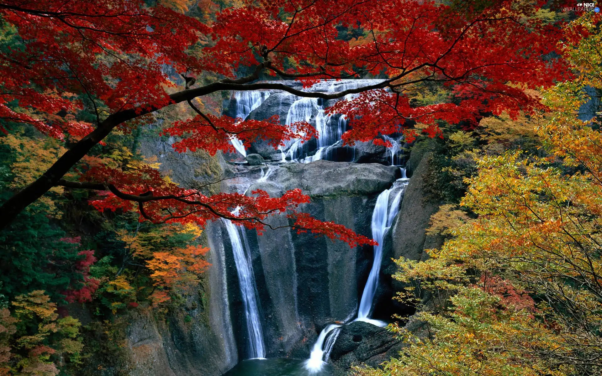 viewes, autumn, rocks, trees, waterfall