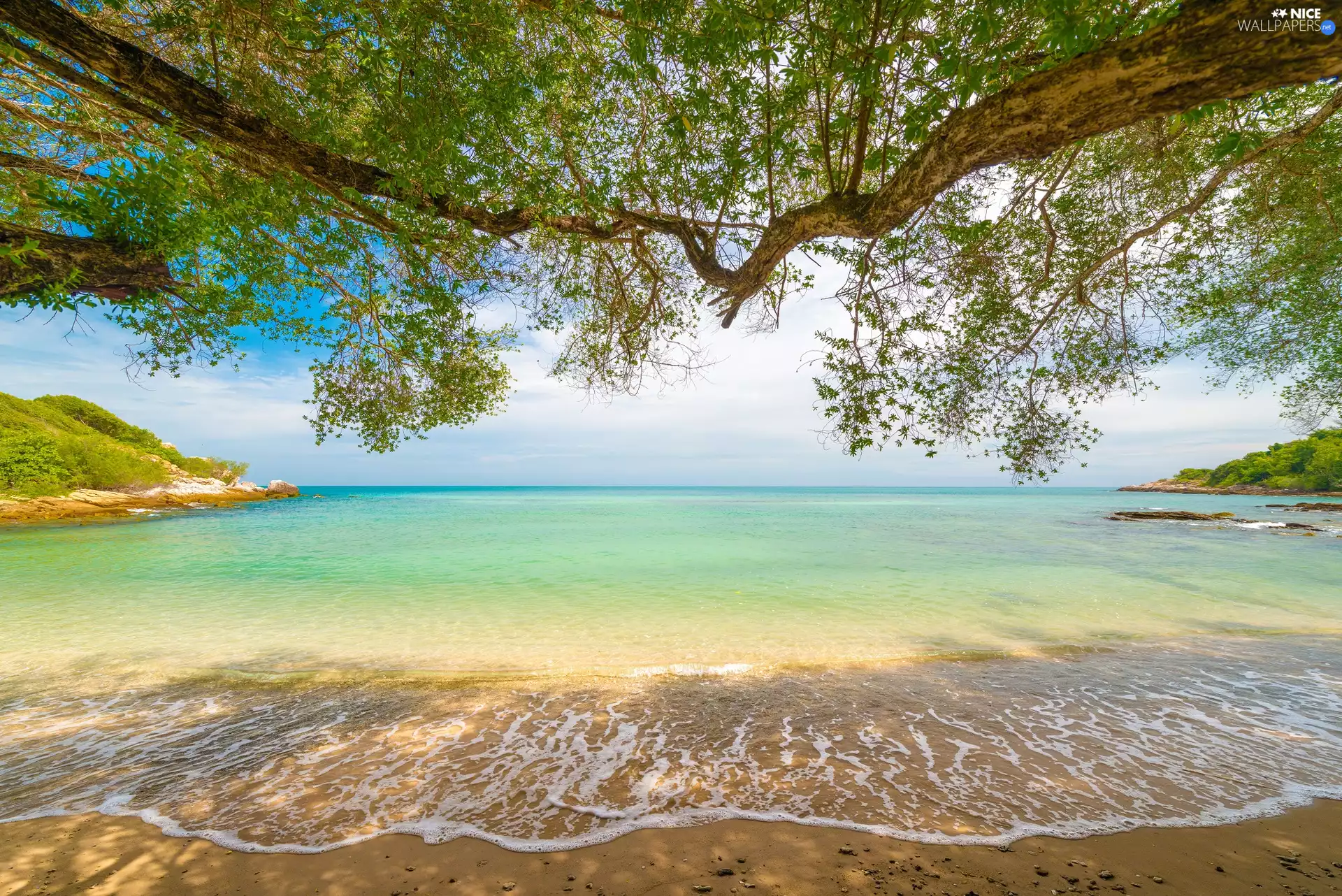 trees, viewes, Beaches, Sand, sea