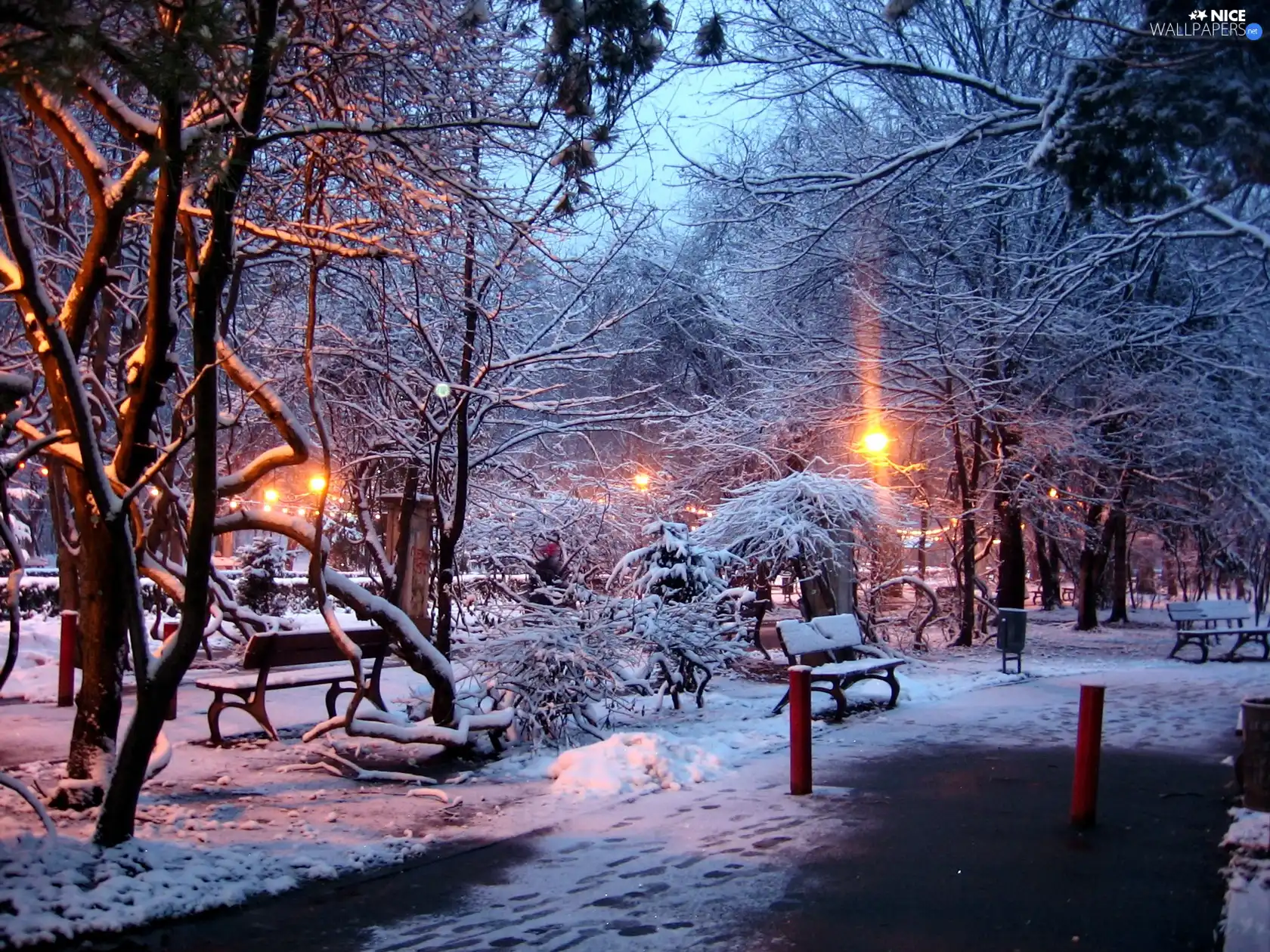 sun, trees, bench, luminosity, Przebijające, Park, viewes, winter, flash, ligh