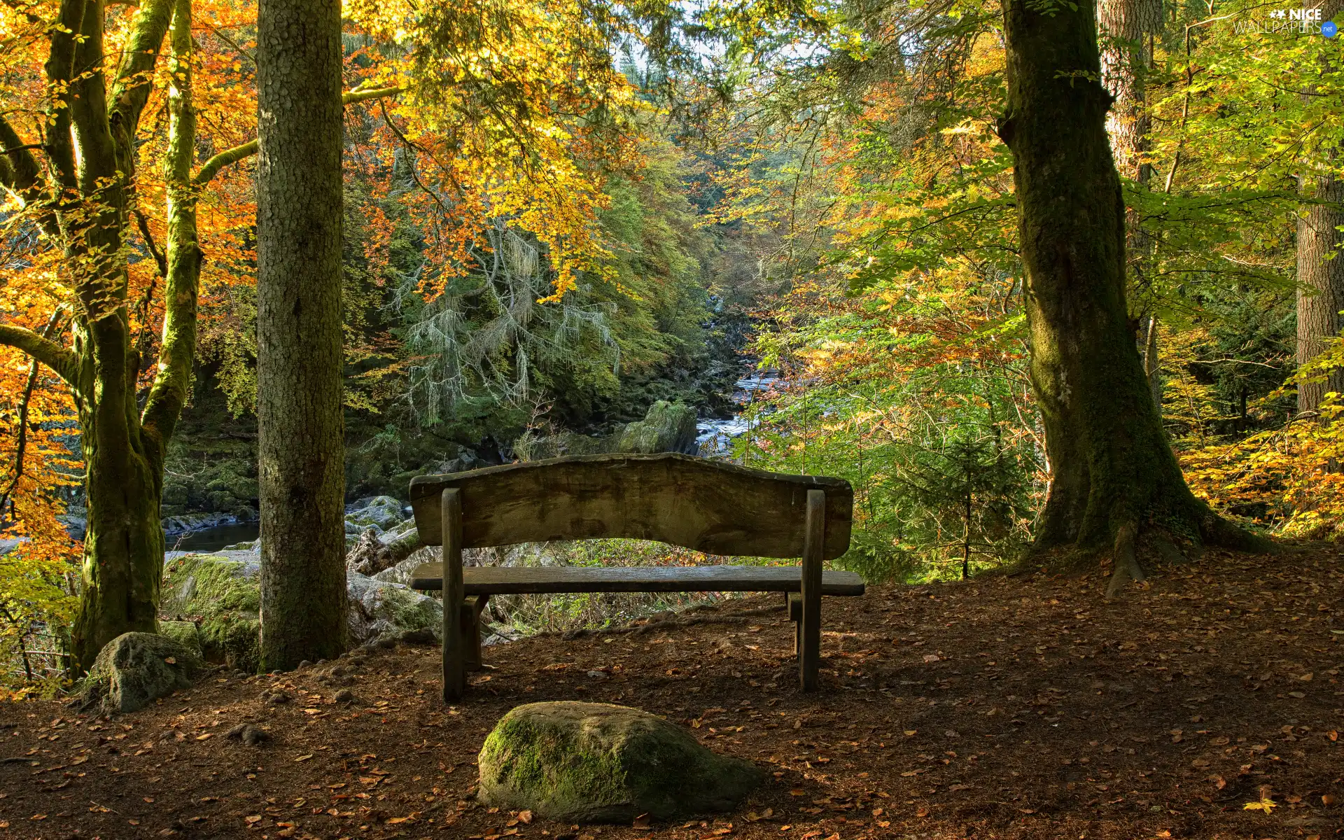 flux, trees, Bench, viewes, forest, Stones, autumn