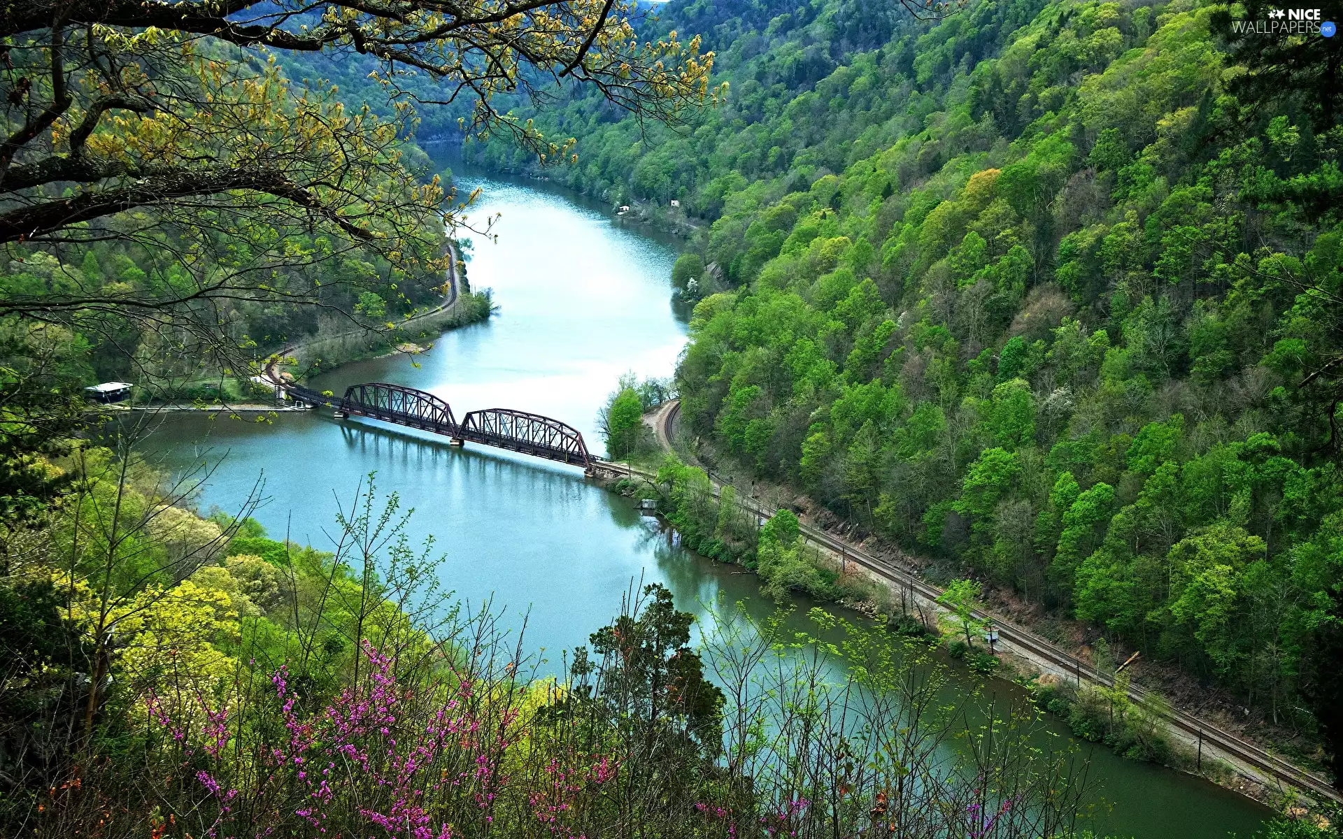 green ones, bridge, trees, Mountains, River, woods, viewes